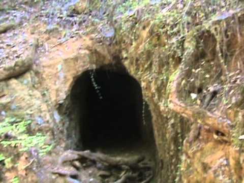 We find a cave hidden along the trail and hear noise of a Sasquatch