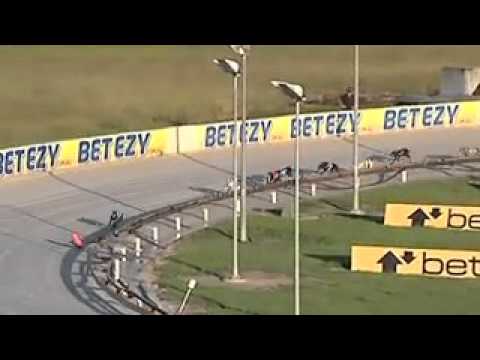 Richmond Race Club Track Record Punch One Out 535m