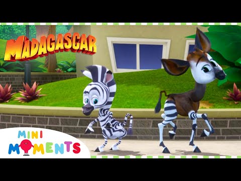 What Kind Of Animal Are You? 🐎🦓 | Madagascar: A Little Wild | Compilation | Mini Moments