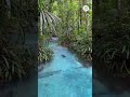 GAK NYANGKA ADA PEMANDANGAN SEPERTI INI DI INDONESIA Shorts