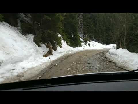 Stațiunea Păltiniș, jud. Sibiu   13 aprilie 2021