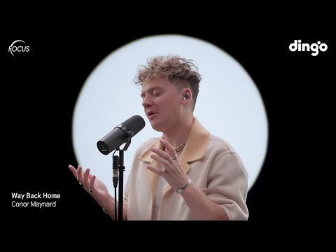 [FOCUS] Conor Maynard – Way Back Home (Sam Feldt Edit) | 딩고뮤직 | Dingo Music