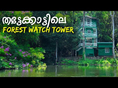 Thattekad Bird sanctuary in Kerala | Stay in Forest Watch tower
