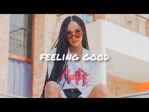 Liu, Kohen & Dan K - Still Alive