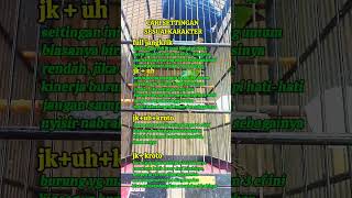 Download lagu cari setingan cucak hijau yang pas bagi pemula. #cucakhijaubetinangentrok #burung #kicaumania #Hijau mp3 Download lagu cari setingan cucak hijau yang pas bagi pemula. #cucakhijaubetinangentrok #burung #kicaumania #Hijau mp3