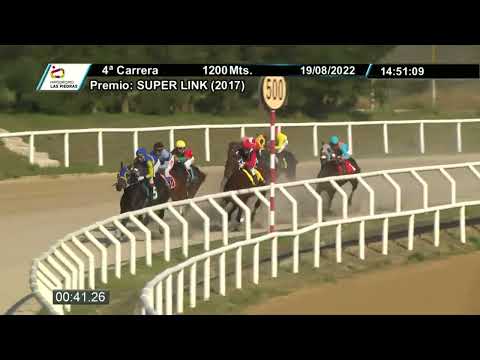 220819 c04 - MAQUIS - HIPODROMO LAS PIEDRAS