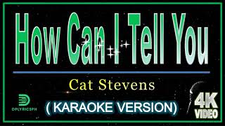 How Can I Tell You - Cat Stevens (karaoke version)