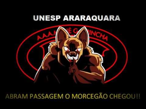 Hooligans do interior ( Fúria capilar )