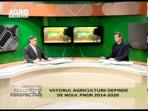 Realitati si Perspective 22 12 2013 partea 3