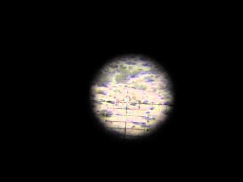Extreme Sniper Adventure... 700 yards, 300 win mag BANG lights out!!!