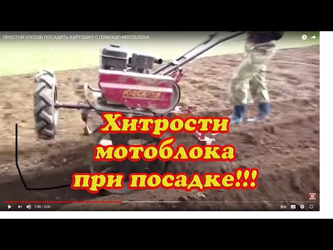 ПРОСТОЙ СПОСОБ ПОСАДИТЬ КАРТОШКУ С ПОМОЩЮ МОТОБЛОКА