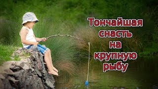 Ссылка