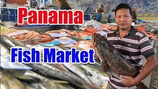 The BIGGEST FISH MARKET in Panama, Walking Tour | Fresh Seafood & Loca