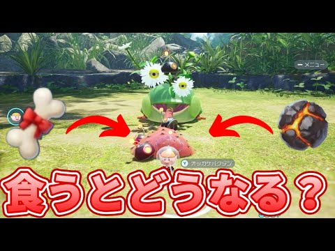 【#Pikmin4】I tried feeding the Surprise Chrysanthemum various things #gameplay #gaming
