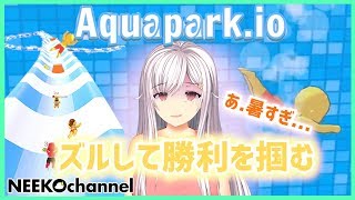 【Aquapark実況】真夏にぴったりの絶叫ウォータースライダー