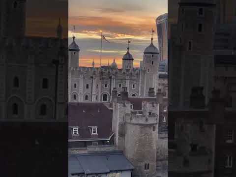 Why Environment Matters — Reflections from the River Thames