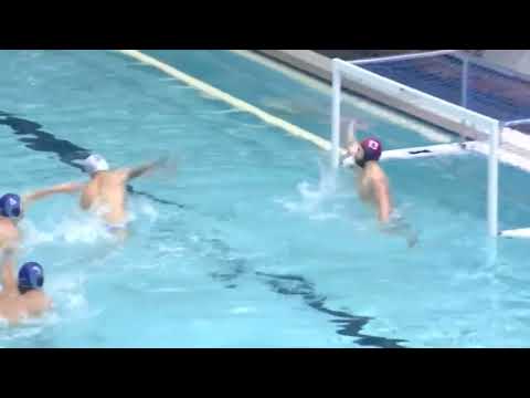 Jadran ST vs Dinamo Tbilisi - Highlights - Champion's League 2022-2023 - Round 4