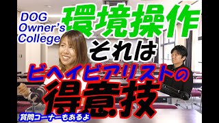 【吠えを改善するには環境操作！】環境（状況）に手を加えて簡単問題解決！犬のしつけ。甘噛み　吠え　咬みつき解決にはドッグビヘイビアリズム