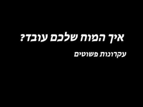 אז איך המוח שלנו עובד?