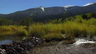 preview picture of video 'Kebler Pass - Early Fall. 2013'