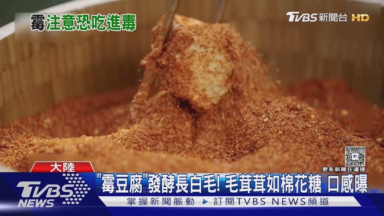 跟風自製霉豆腐慘翻車!長出詭異彩斑 專家警告:恐食物中毒