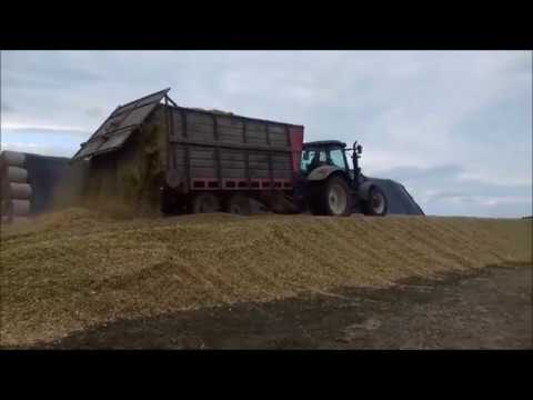 Akcja kukurydza 2018 3x Massey Ferguson 2x New Holland 1x Case 1x Jaguar