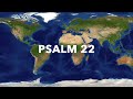 World Peace Dub Music - Dub Evolution