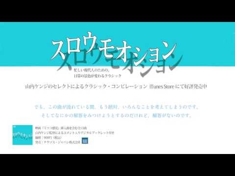 ゼニス・ド・リモージュ - 定義