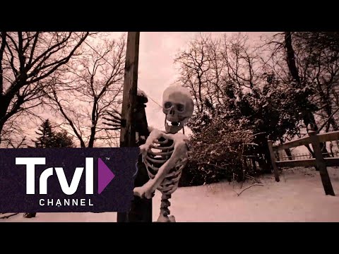 download lagu mp3 mp4 Portals To Hell, download mp3 Portals To Hell free downloadn, video klip Portals To Hell