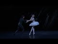 Swan Lake End Of Act II Lauren Cuthbertson The Royal Ballet