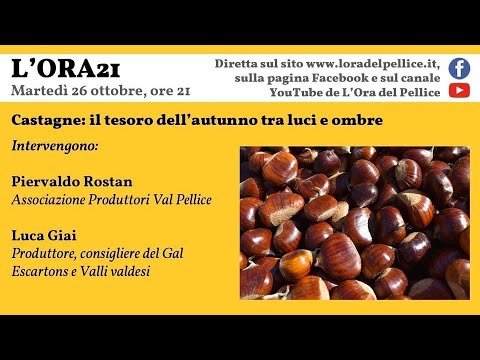 32ª puntata — Castagne: il tesoro dell’autunno tra luci e ombre