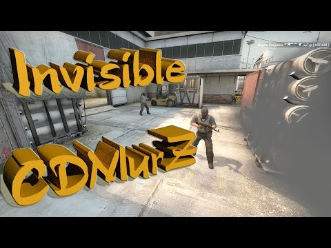 Steam Community :: Video :: CS:GO - Invisible CruelDadMurZ