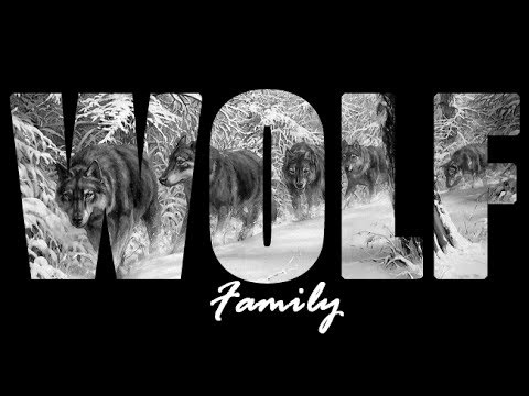 Wolf family - Приглос на 4atty aka Tilla & Mono