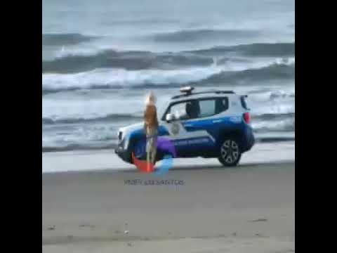 Manequim video