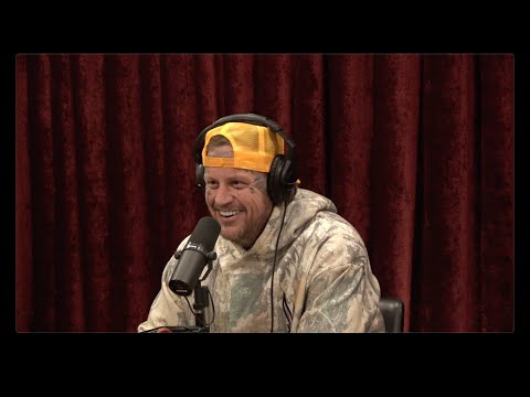 Joe Rogan Experience #2424 - Jelly Roll