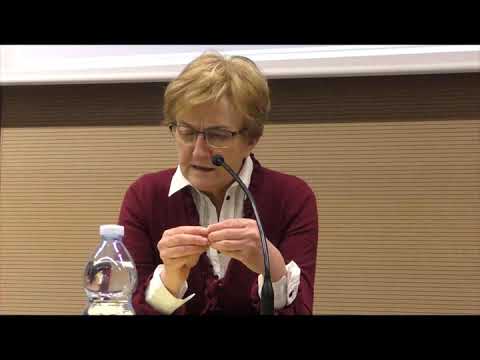 Teologia - Chi sono gli Evangelisti? - Boldini