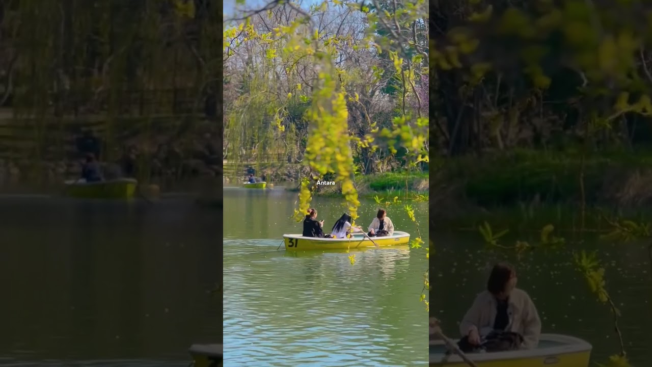 YouTube Short thumbnail