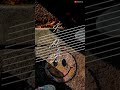 Bom Diggy Diggy Full Screen Whatsapp Status Special Video