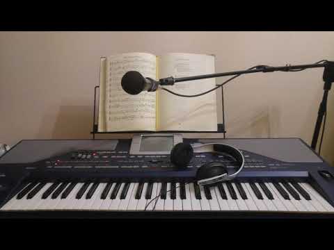 ZANUSHA      FER - GRU AP