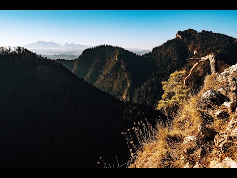 Sokolica w Pieninach - szlak z dzieckiem do reliktowej sosny z Krościenka nad Dunajcem