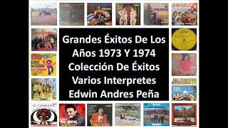 Grandes Éxitos De Los Años 1973 Y 1974 Colección De Éxitos Varios Interpretes