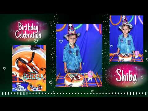 Shiba Birthday celebration