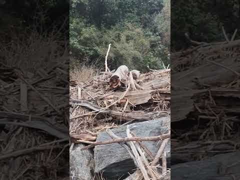 Río Talita , Alpa Corral, parte 2. Sierras del Sur de Córdoba.