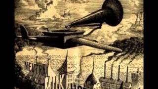 Neutral Milk Hotel - Life Is Neverending