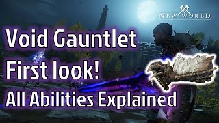Void Gauntlet First Look. ALL Abilities and Skills Demonstrated and Explained - New World