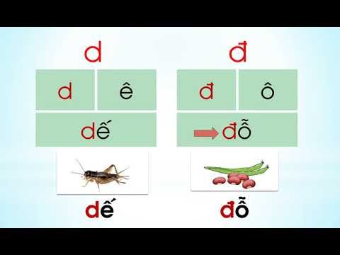 Lớp 1 Tiếng Việt  Tuần 3 T1, 2 Bài D Đ