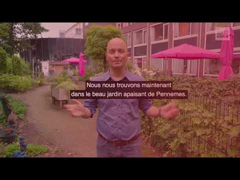 Visite d'étude virtuelle eJourney aux Pays-Bas : L'innovation verte en EHPAD