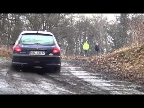 IV Memoriał Kuliga i Bublewicza dla Amatorów - Dudziak Dudziak Peugeot 206 by OesRecords