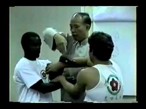 Grand Master Moy Yat Talking about center Line