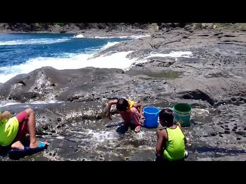 Dingalan aurora 🤎